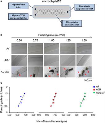 Dedifferentiated Chondrocytes in Composite Microfibers As Tool for Cartilage Repair